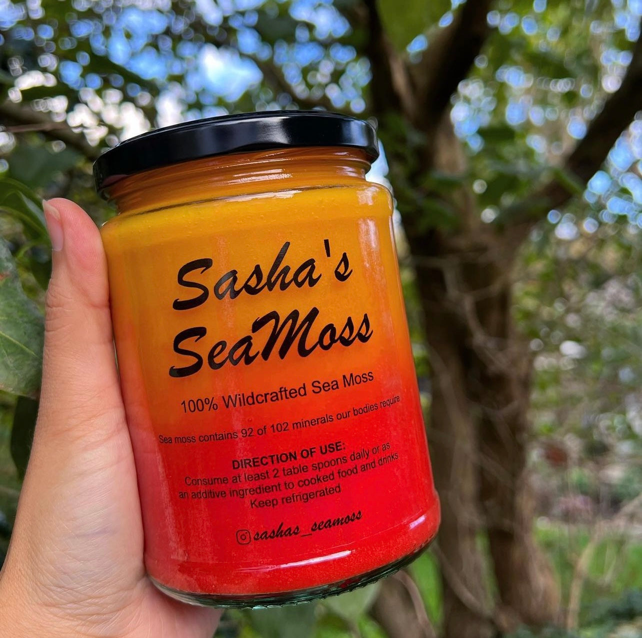 Fruit Infused Sea Moss Gel – Sasha's Sea Moss LTD